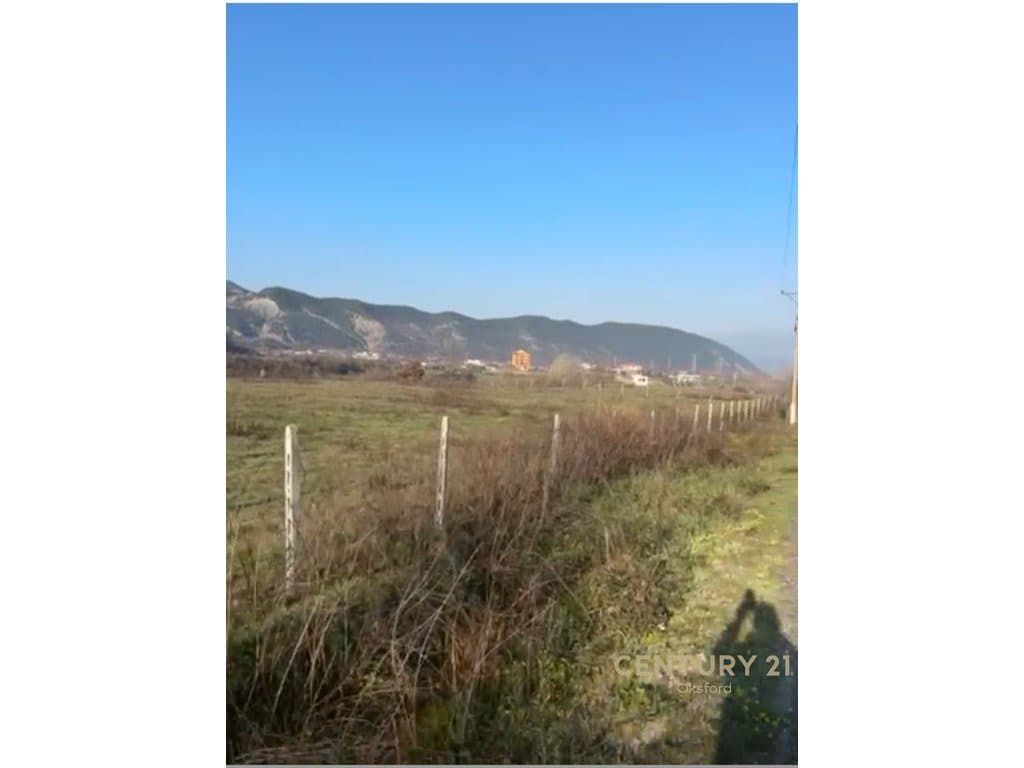 TOKE PER SHITJE – 4080 m² PRANE FEREMES 100 3