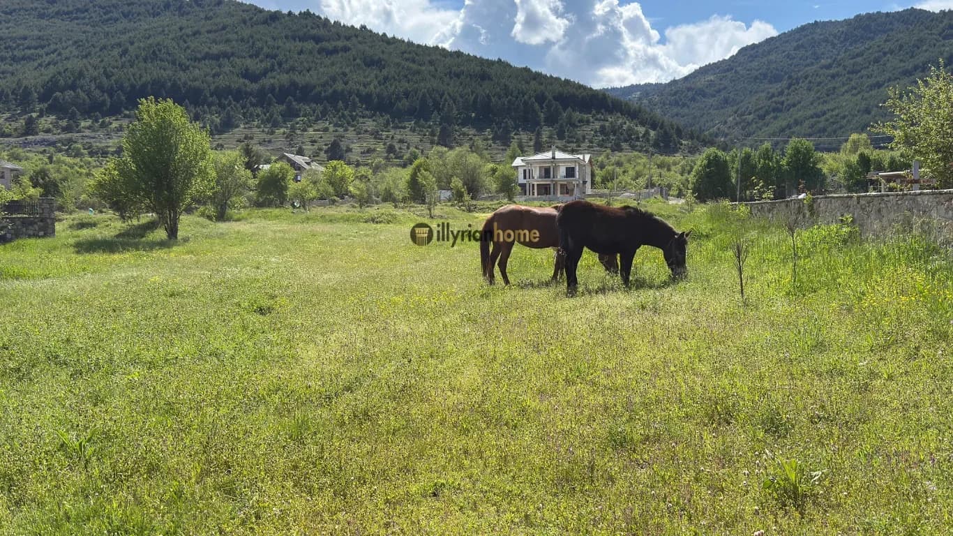 EKSKLUZIVE ,TOKË NË SHITJE | VOSKOPOJË, KORÇË
