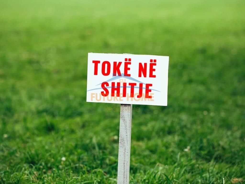Shitet, Tokë Arë, Rinas