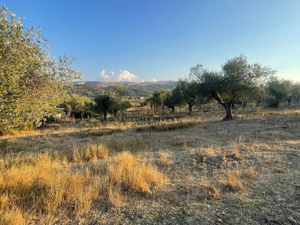 SHITET TOKË 2,000 m² – BABICË – SHERISHT, VLORË 3