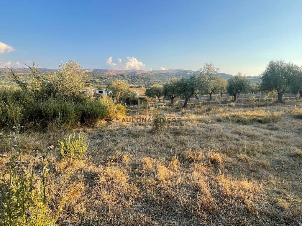 SHITET TOKË 2,000 m² – BABICË – SHERISHT, VLORË 4