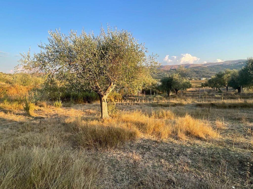 SHITET TOKË 2,000 m² – BABICË – SHERISHT, VLORË 2
