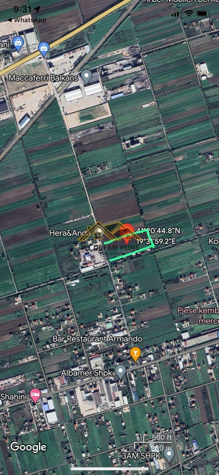 SHITET TOKE NE AUTOSTRAD DURRES – TIRANE 1