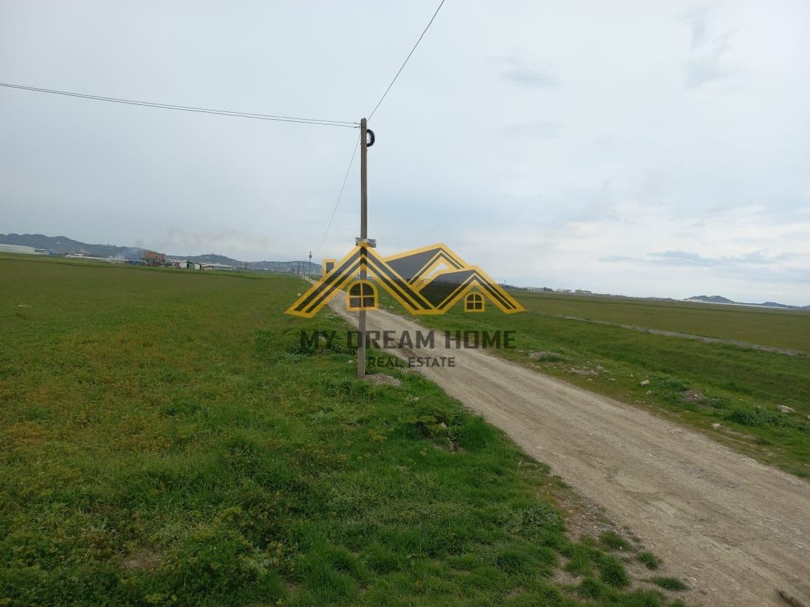 SHITET TOKE NE BISHT KAMEZ DURRES