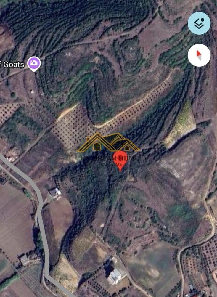 SHITET TOKE 2600 M2 NE SPILLE KODER ME PAMJE PIKTORESK DETIT