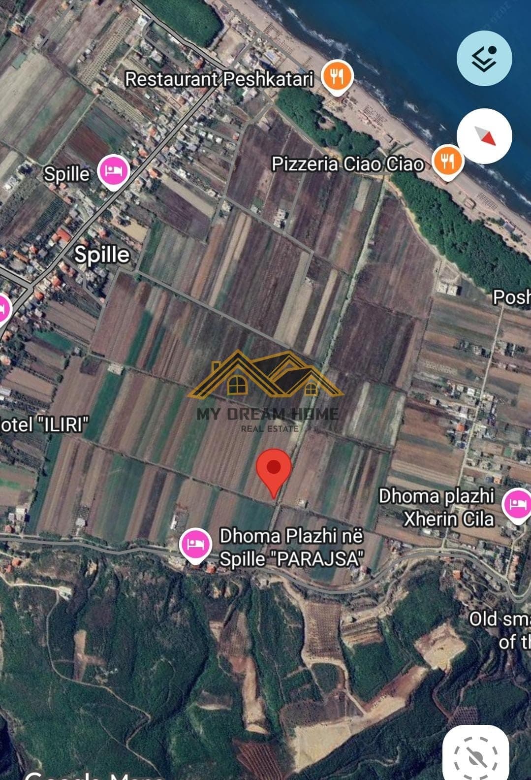 SHITET TOKE NE SPILLE,KAVAJE! 1