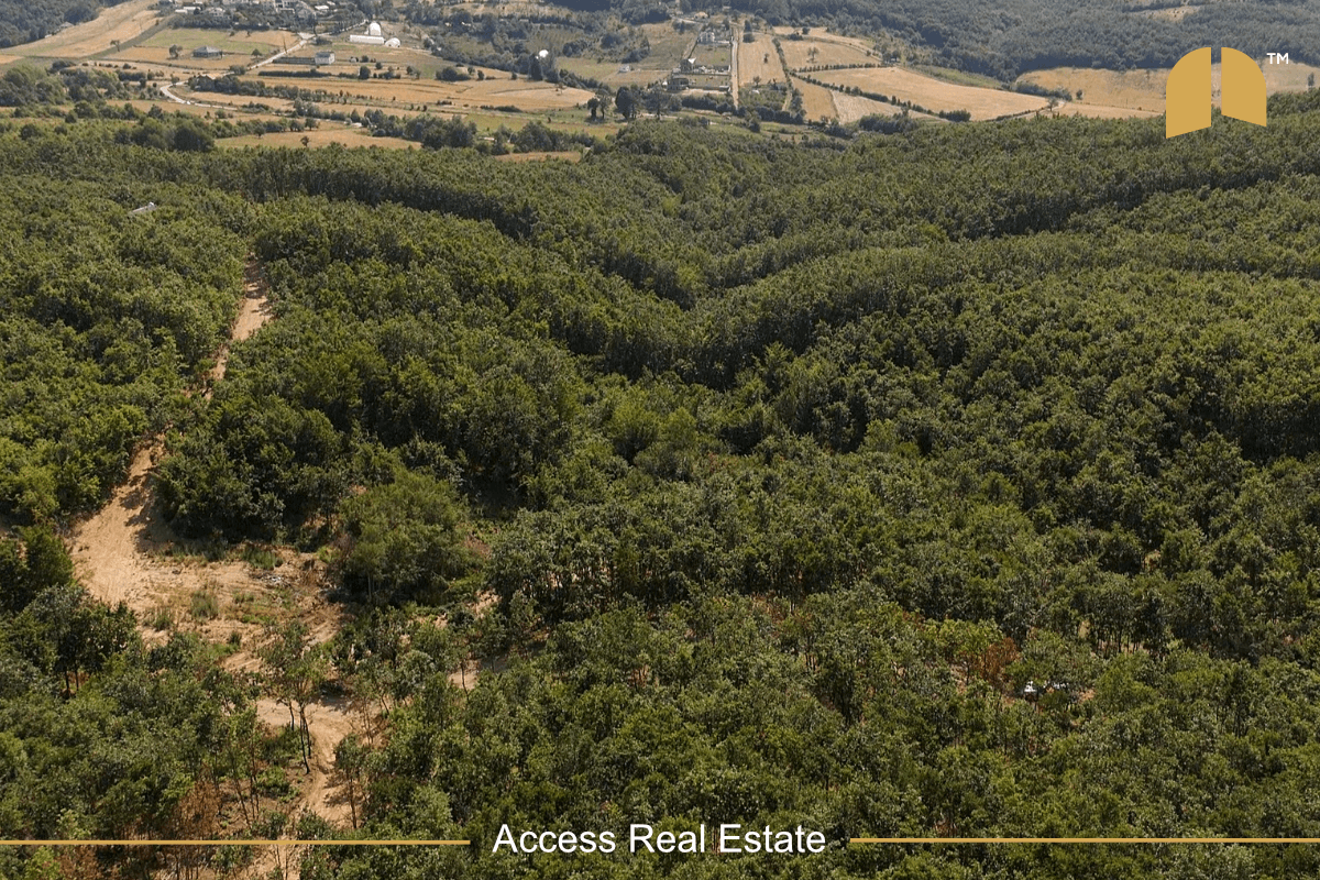 Parcelë në SHITJE me FLETË POSEDUESE – 3 Hektar – Mramor 4