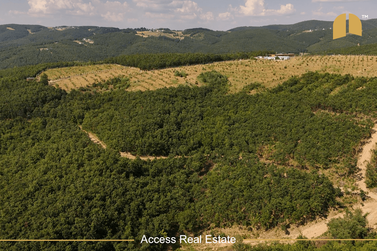 Parcelë në SHITJE me FLETË POSEDUESE – 3 Hektar – Mramor 3