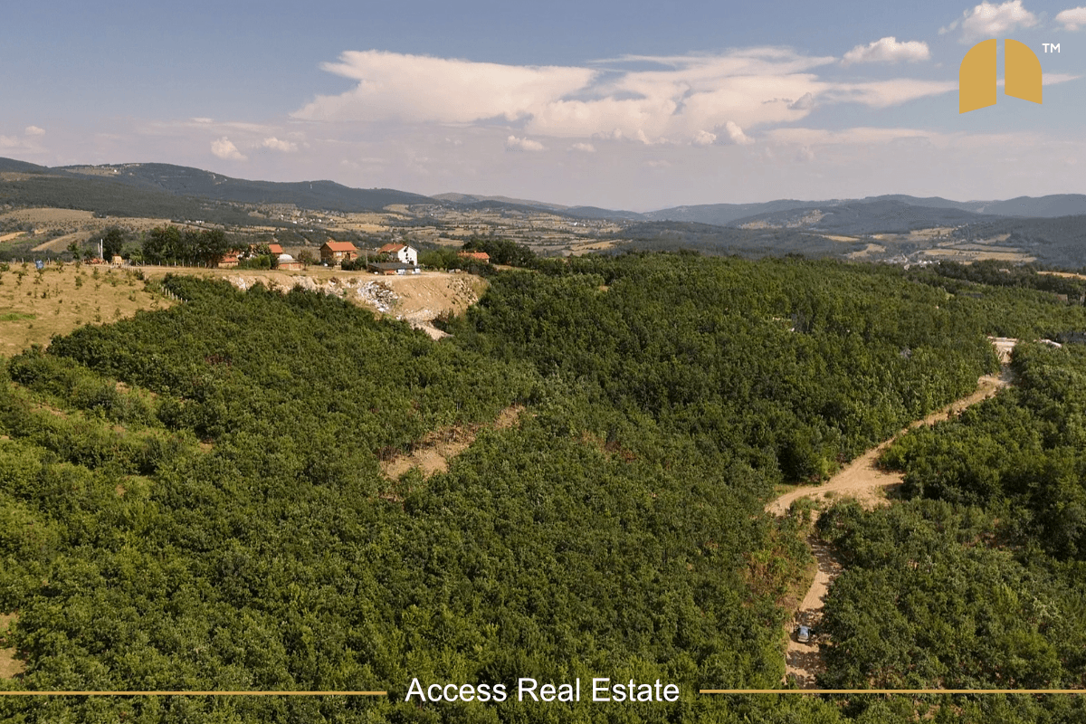 Parcelë në SHITJE me FLETË POSEDUESE – 3 Hektar – Mramor