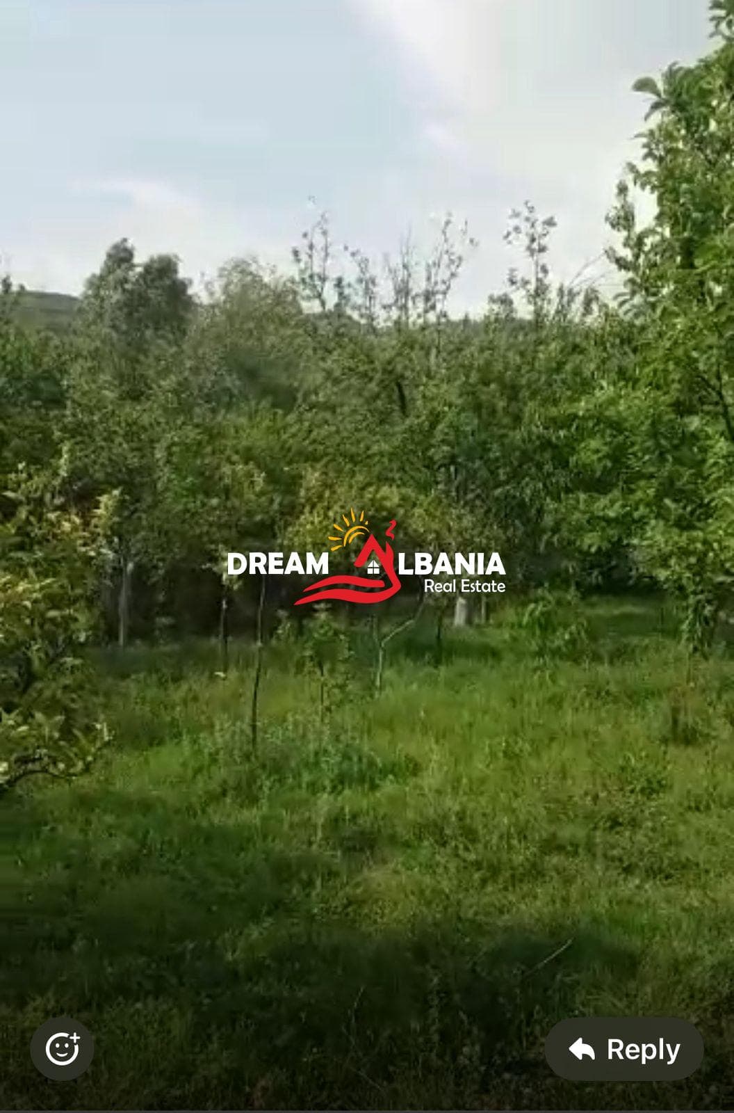 Disa toka ne shitje ne Ibe e Poshtme, Tirane(ID 4191145)