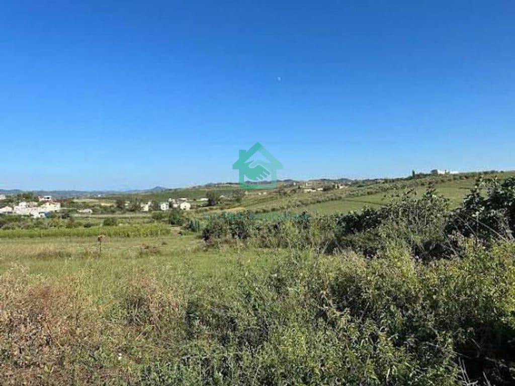 Tokë për panele diellore në Shitje në Lushnje - 8,820,000€ | 126 hektarë