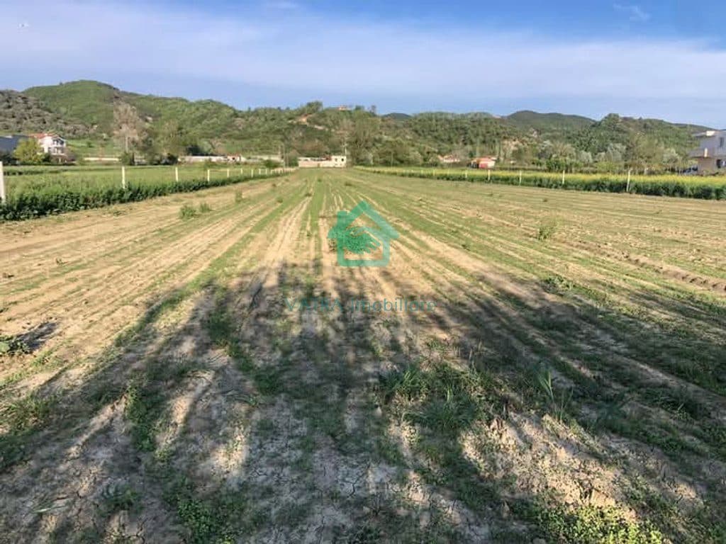Tokë në Pezë, Tiranë - Në Shitje për 380000€ | 8426 m² 3