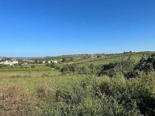 Tokë për panele diellore në Shitje në Lushnje - 8,820,000€ | 126 hektarë