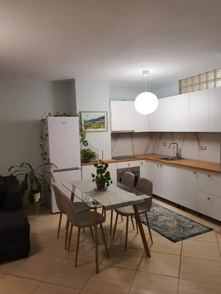 Apartament me qera 1+1 Ne Ali Dem
