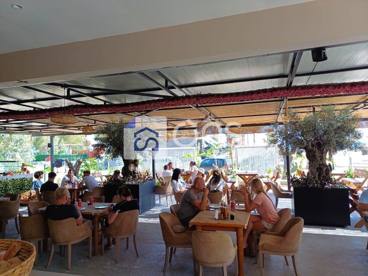 JEPET ME QIRA RESTORANT NE QEPARO (POZICIONI UNIK BUZE DETIT) 2