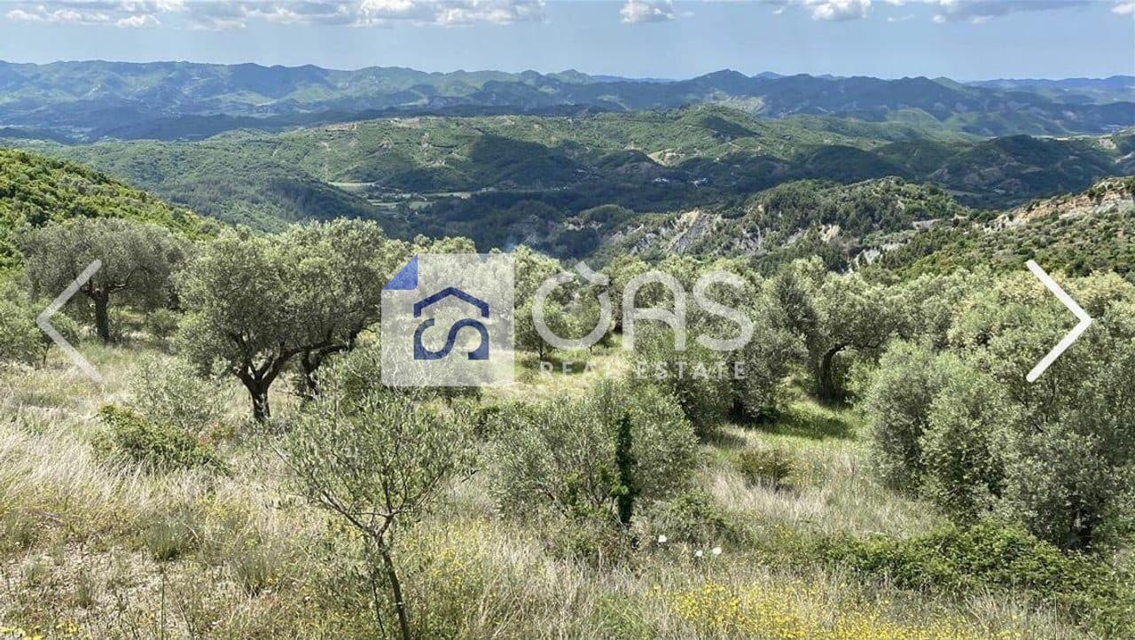 Tokë Për Shitje në Petrelë, Tiranë - 300 000€ | 4000 m² 2