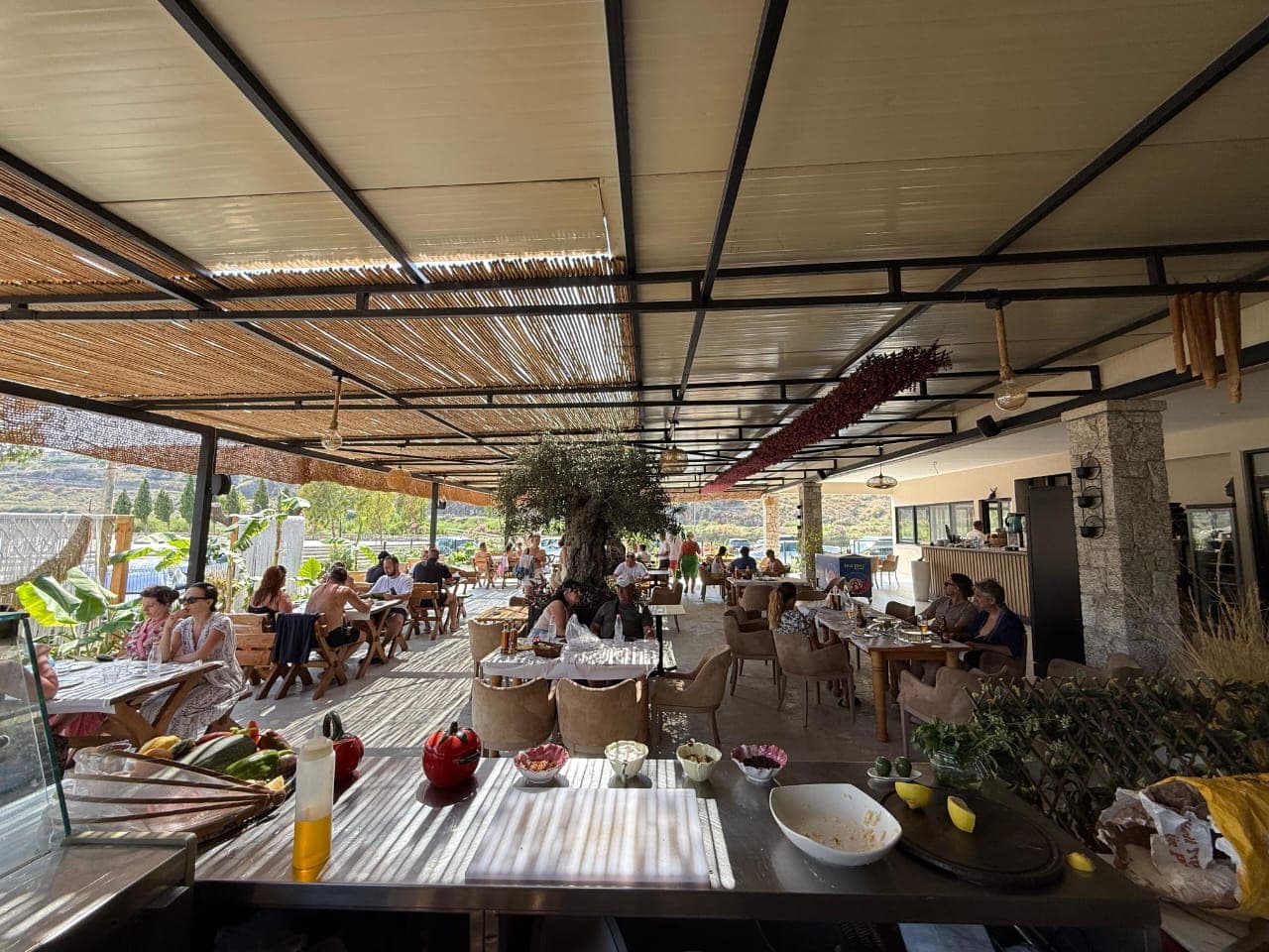 JEPET ME QIRA RESTORANT NE QEPARO (POZICIONI UNIK BUZE DETIT)