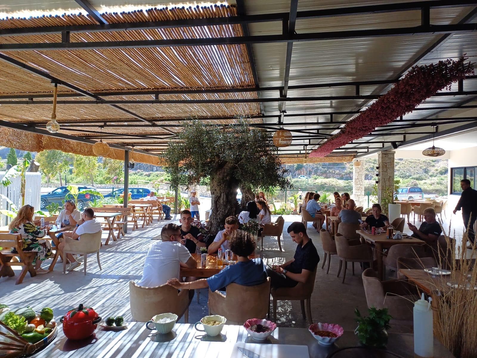 JEPET ME QIRA RESTORANT NE QEPARO (POZICIONI UNIK BUZE DETIT) 3