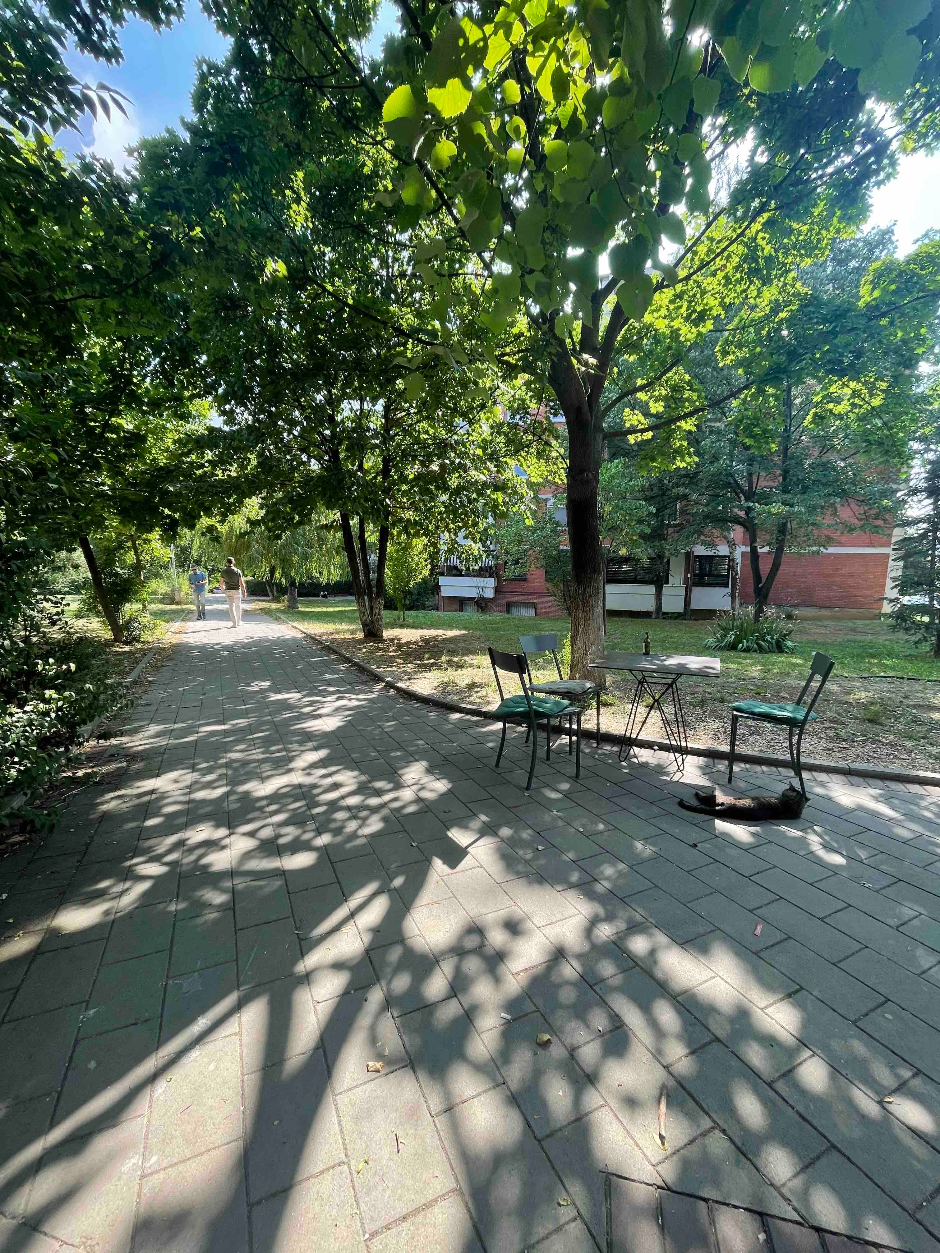 Ofrohet BANESA me QIRA në lagjen Bregu i Diellit
