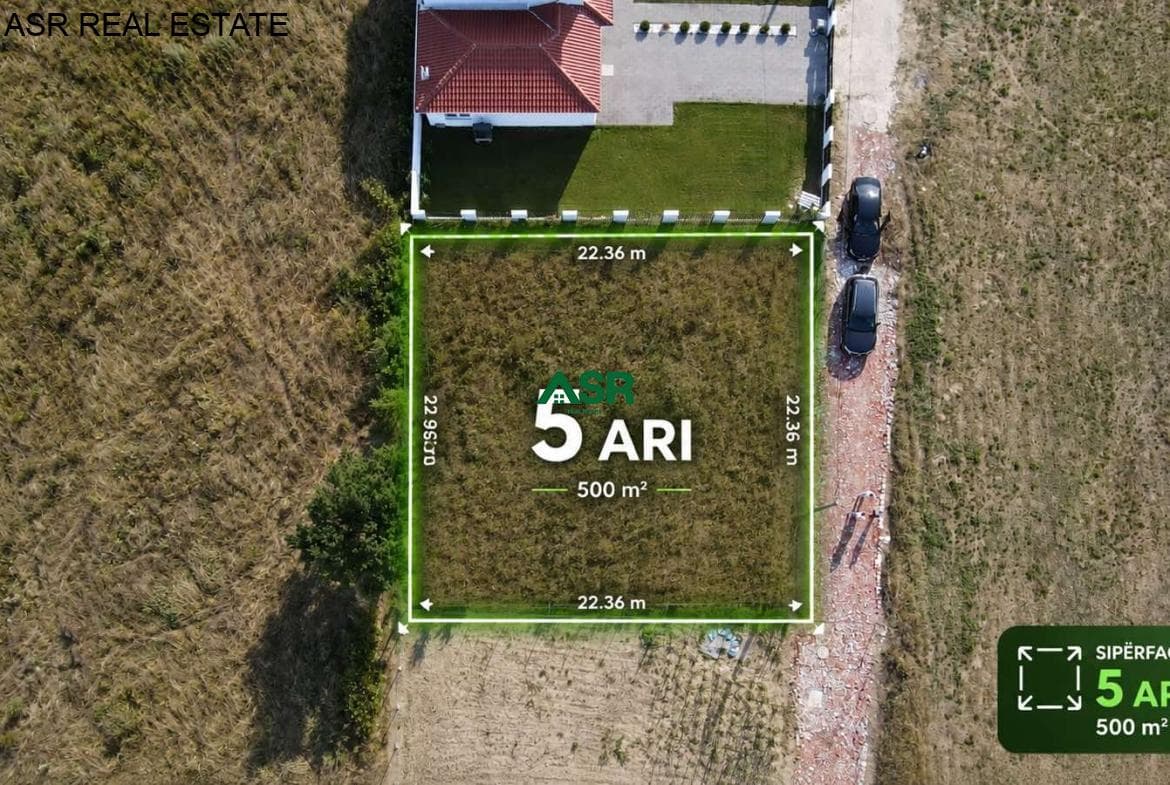 Ofrohet Truall per SHITJE në Bernice e eperme 2