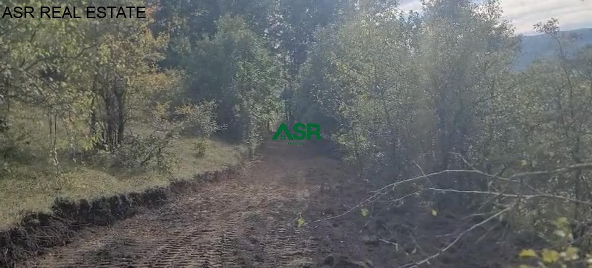 Ofrohet për shitje trualli në Mramor 3