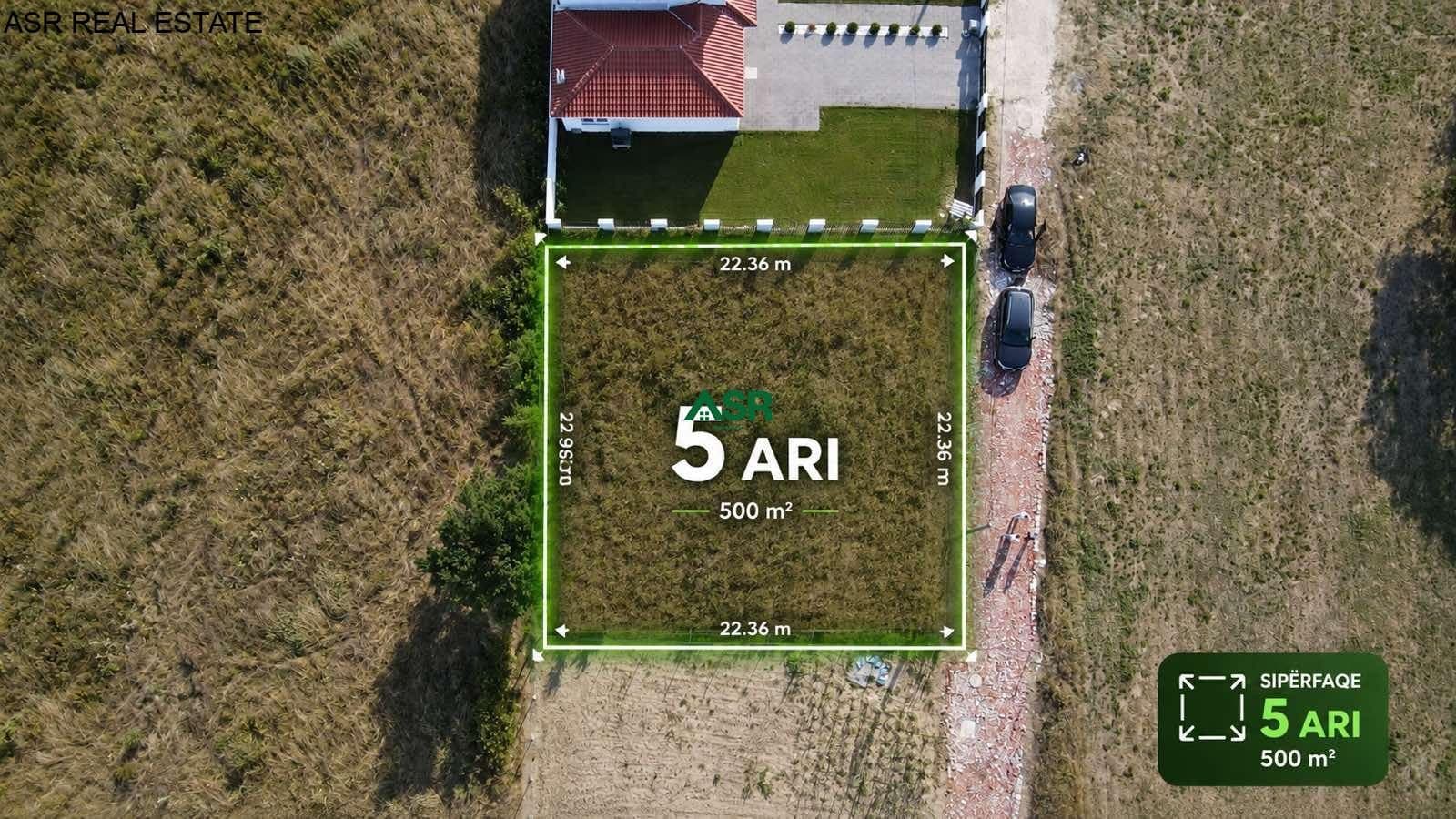 Ofrohet Truall per SHITJE në Bernice e eperme