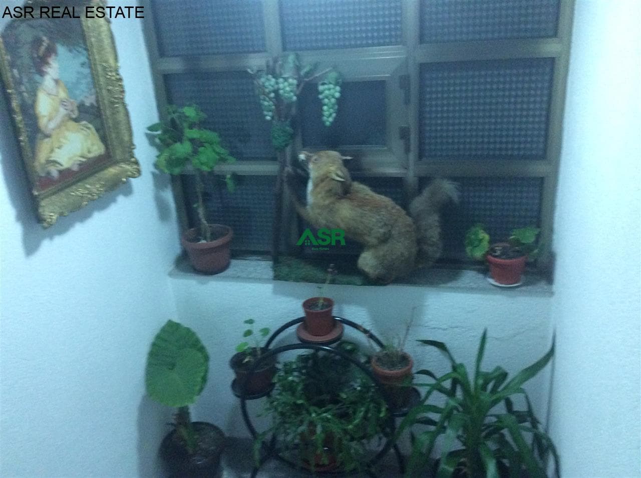 Lëshohet banesa me qira në lagjen qender 2