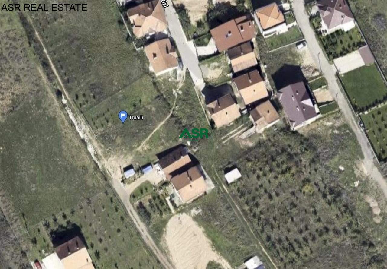 Shitet trualli ne Matican, Prishtine 3