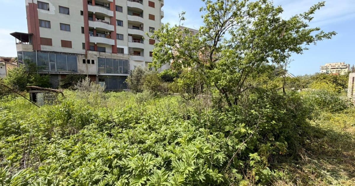 Toke në shitje Lushnje, Lushnje