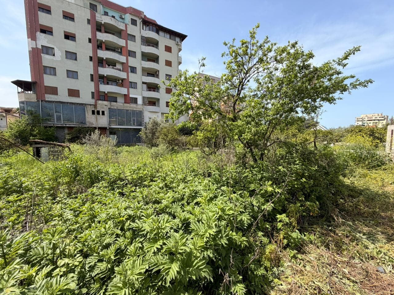 Toke në shitje Lushnje, Lushnje 4
