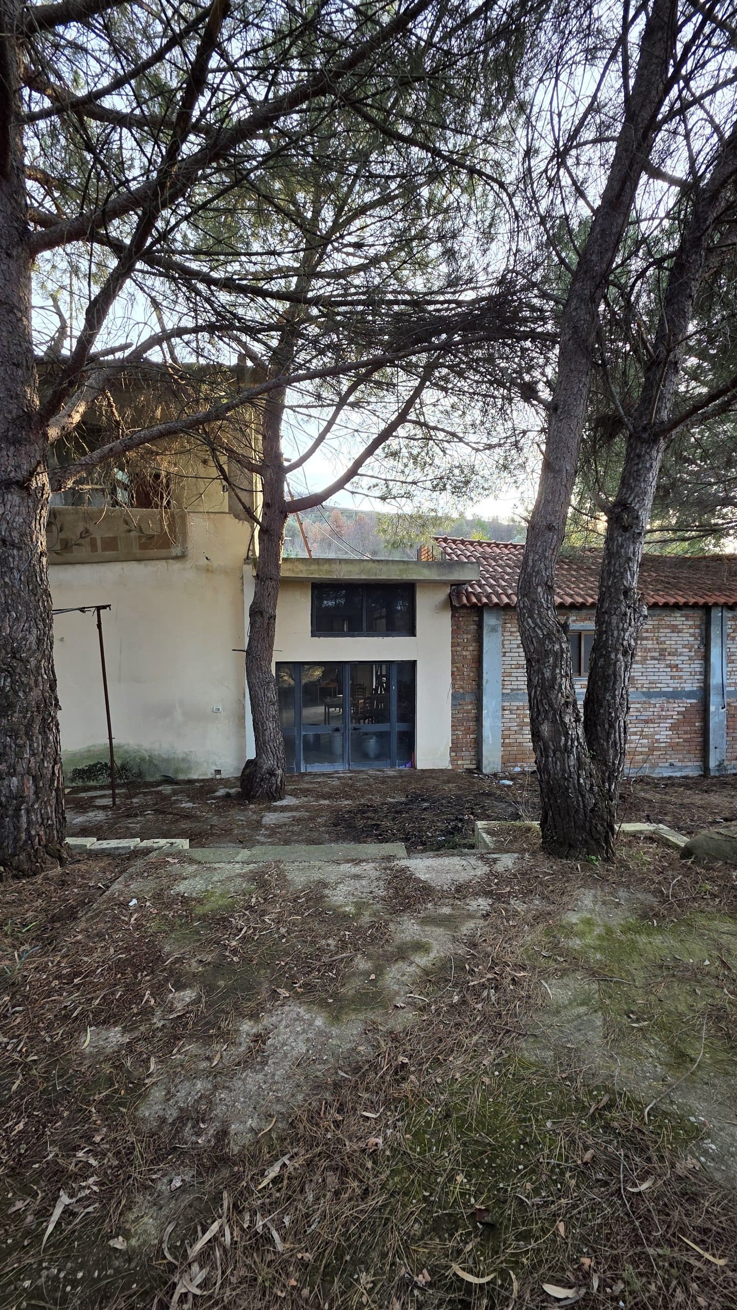 Njesi Biznesi në shitje Lushnje, Lushnje