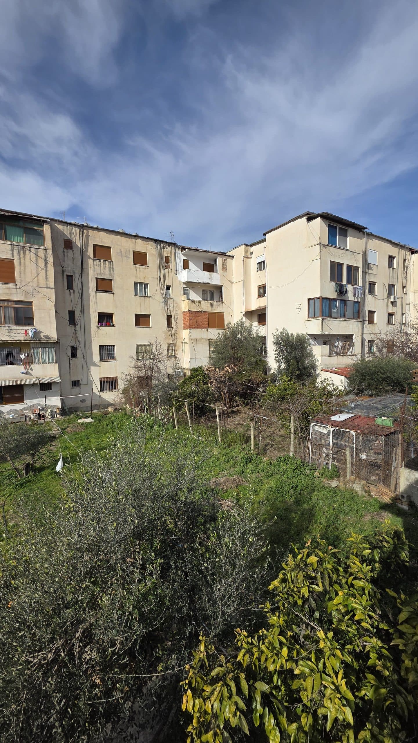 Toke në shitje Lushnje, Lushnje 2