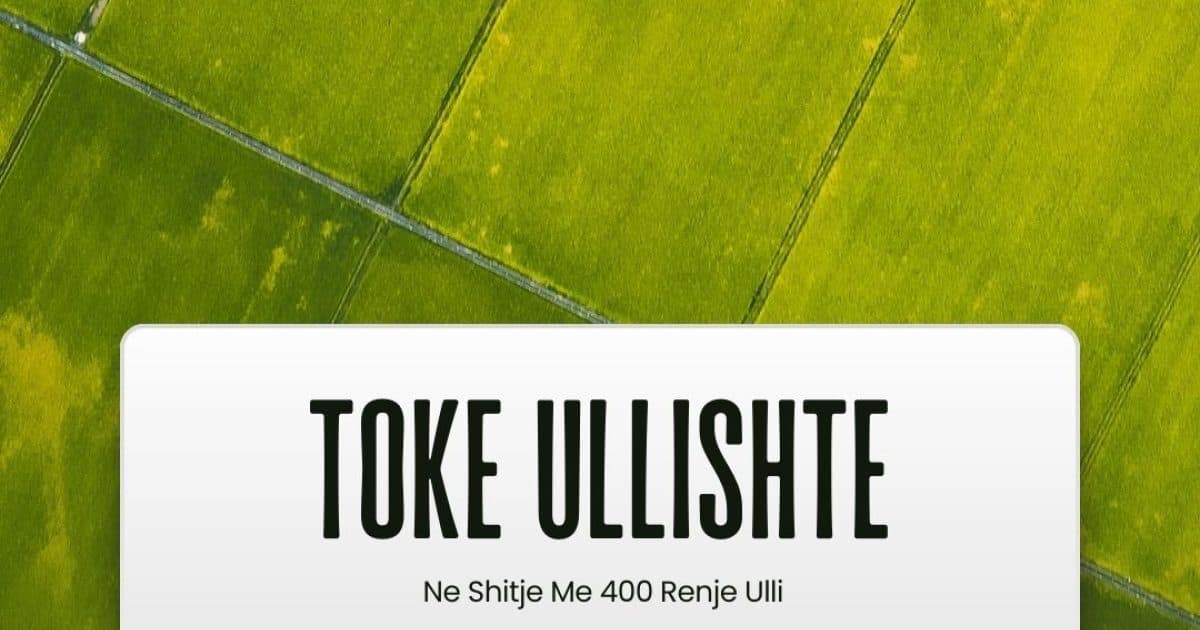Toke në shitje Lushnje, Lushnje