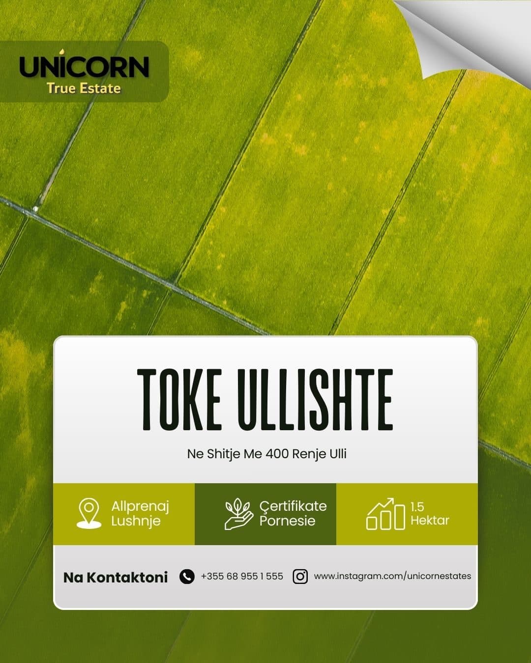 Toke në shitje Lushnje, Lushnje