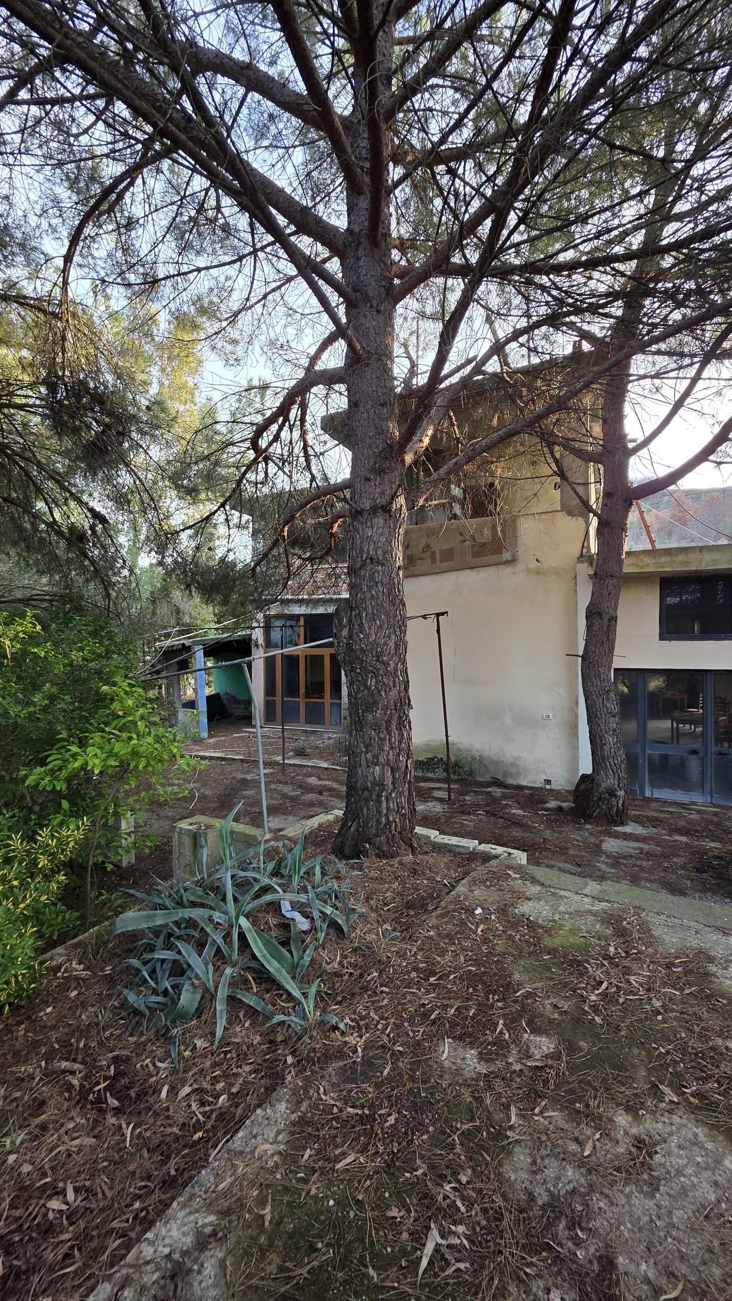Njesi Biznesi në shitje Lushnje, Lushnje