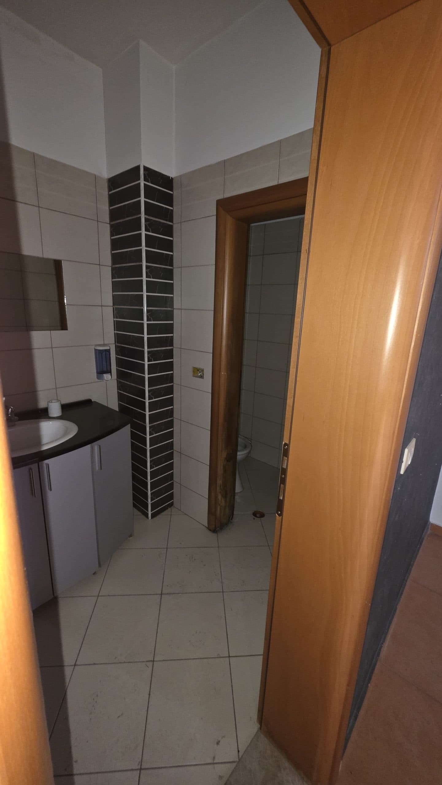 Njesi Biznesi në shitje Lushnje, Lushnje