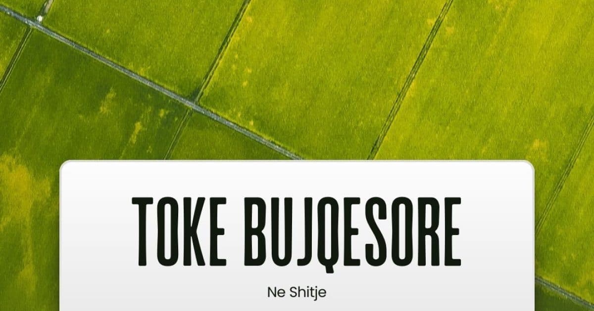 Toke në shitje Lushnje, Lushnje 1