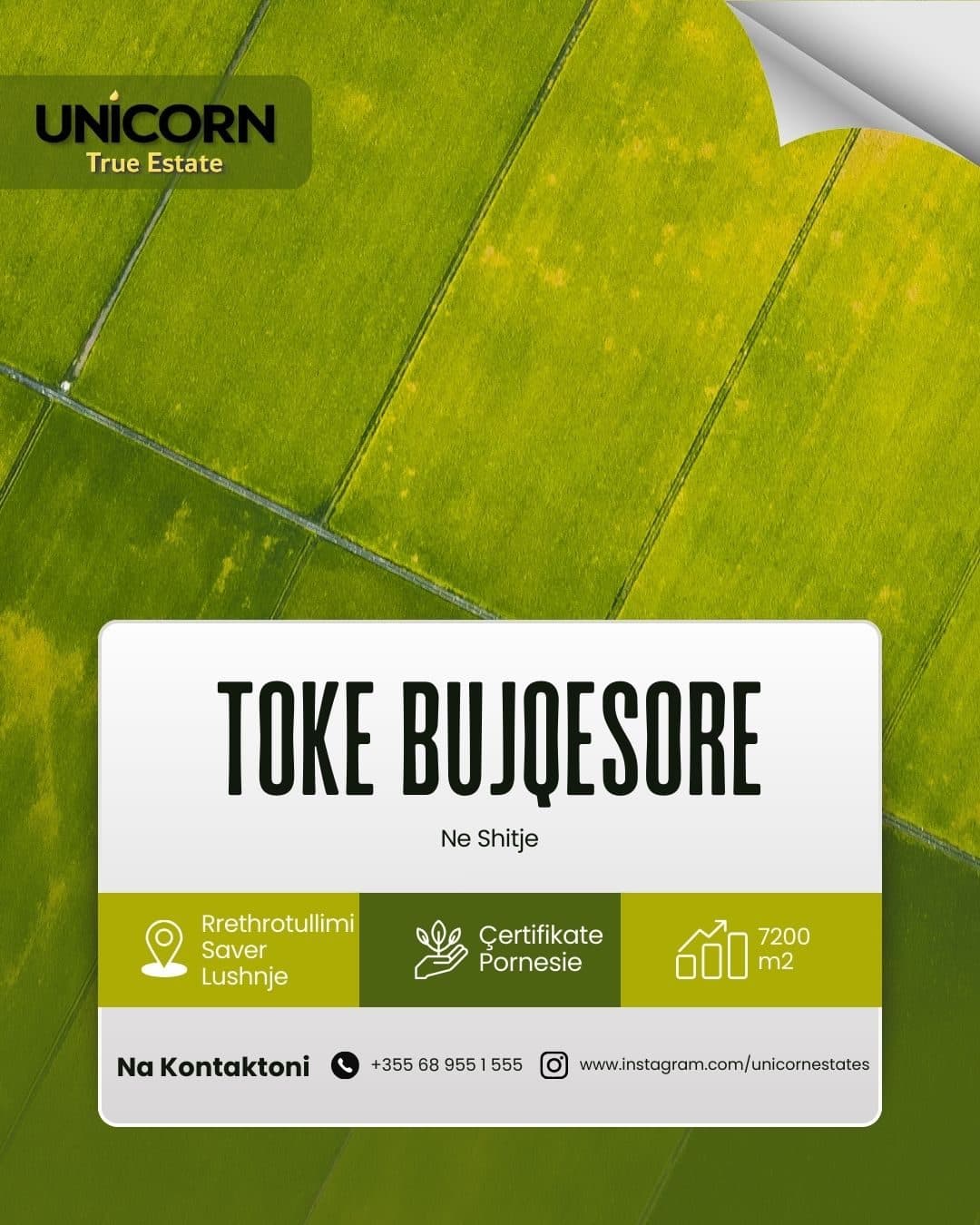 Toke në shitje Lushnje, Lushnje