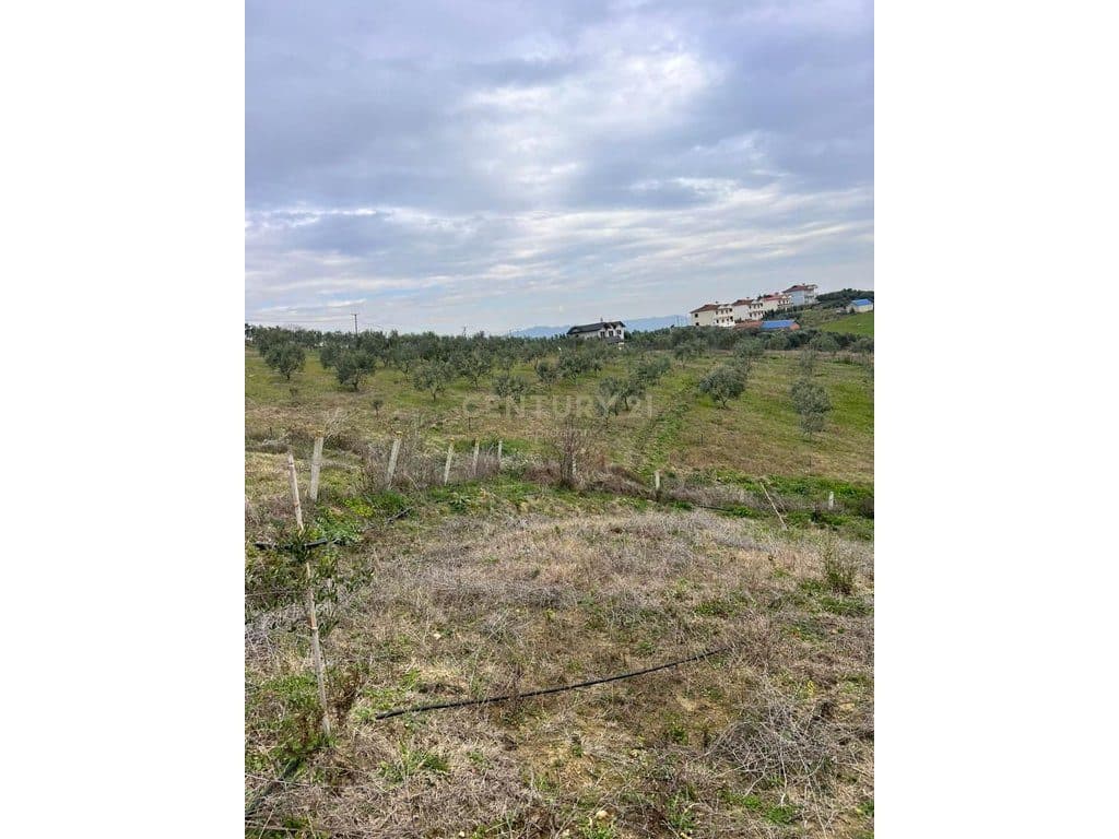 Tokë për Shitje në Arapaj, Durrës - 362700€ | 8060 m² 4