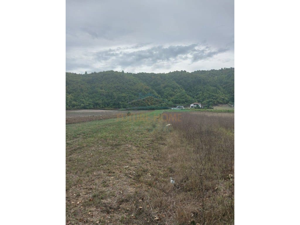 Shitet, Tokë, Baldushk, Tiranë.