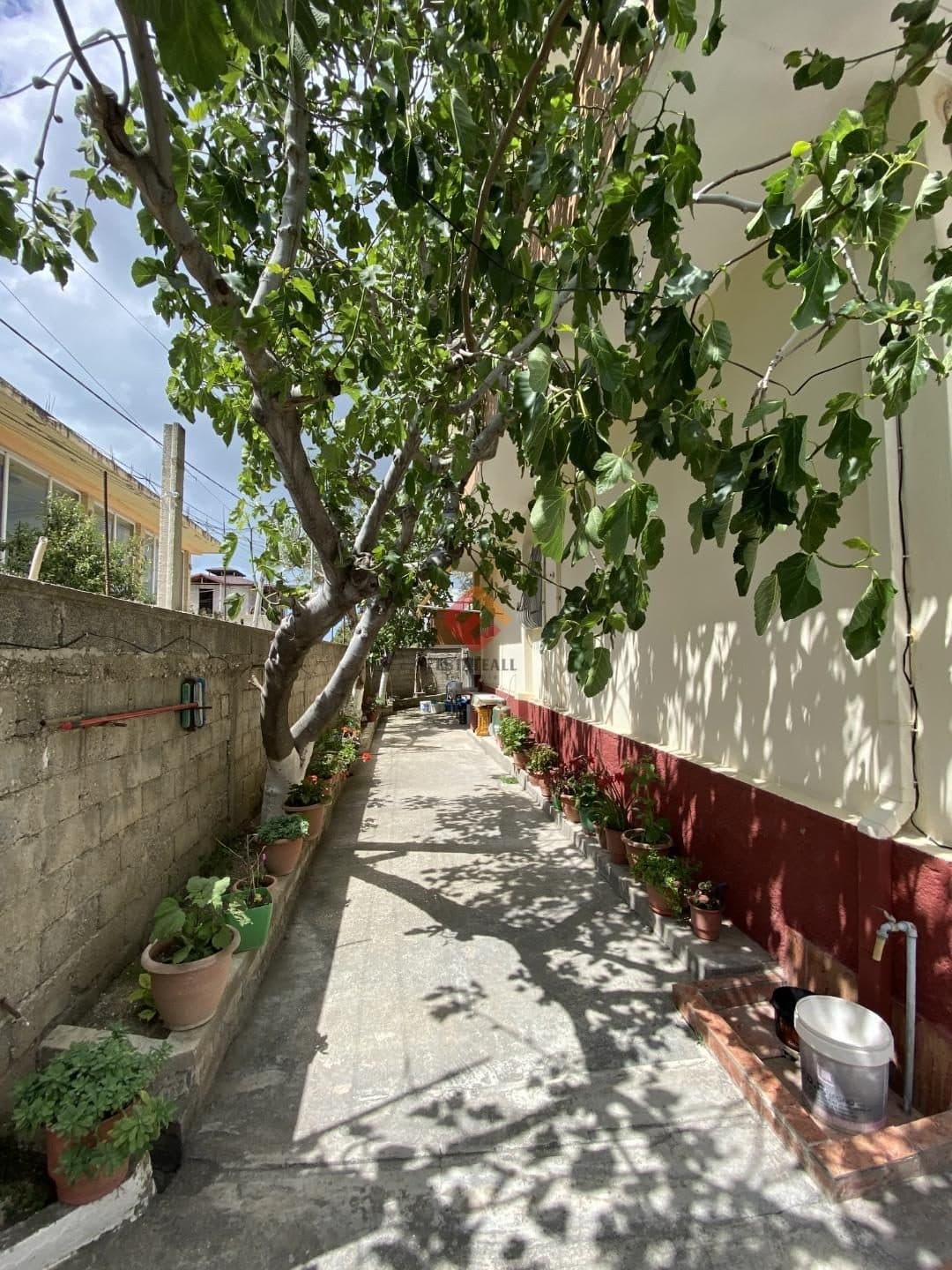 Vila, S1197, 455 m² 4