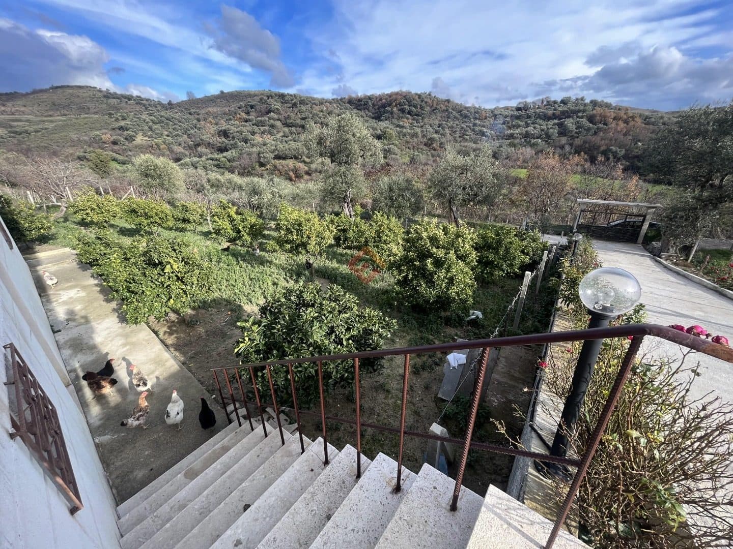 Villa, R1139, 135 m² 3