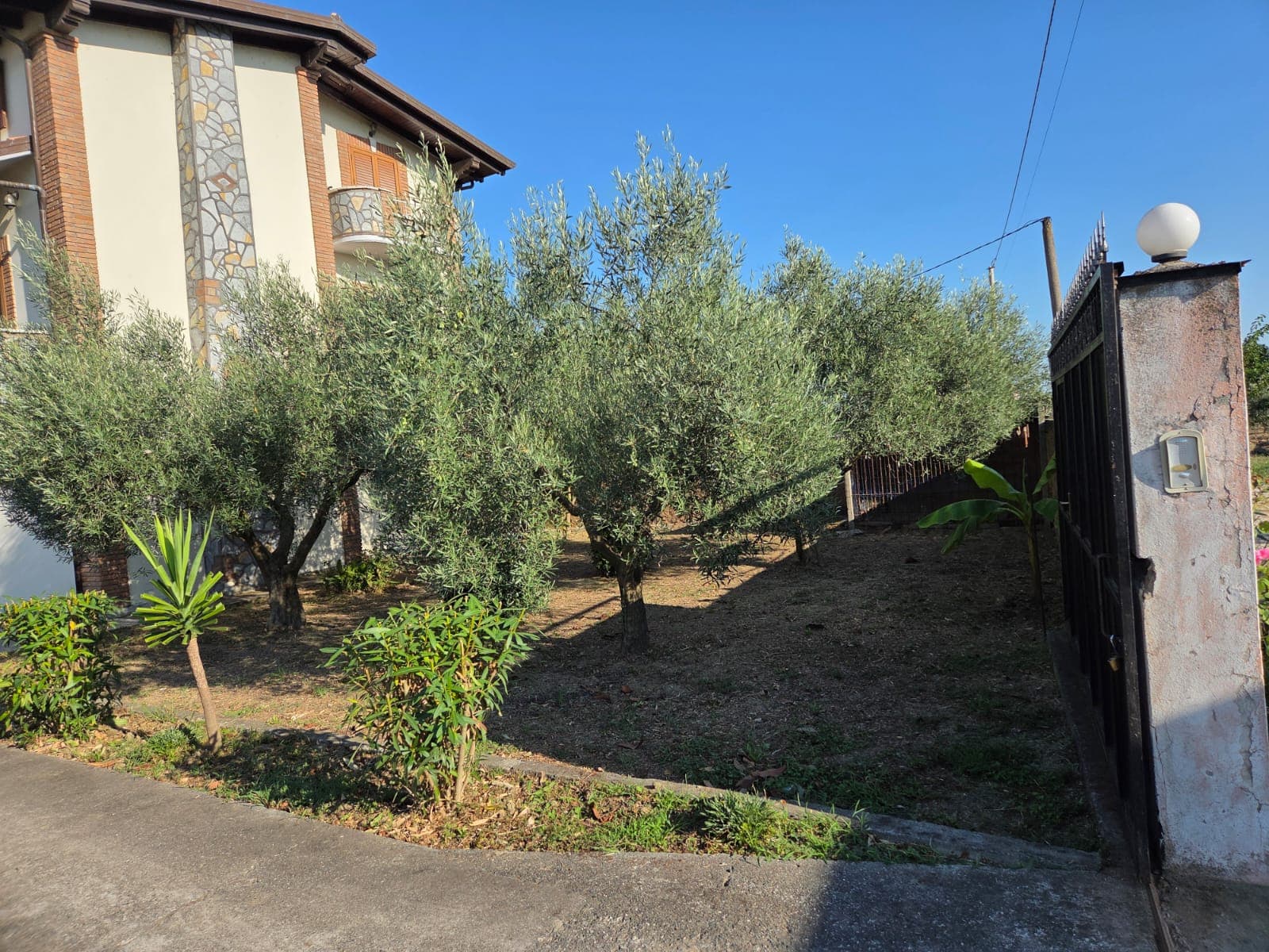 SHITET VILË 3-KATËSHE ME TRUALL 530 m² – SALLMONE, SHIJAK 4