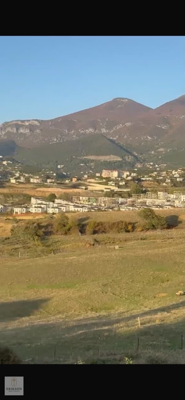 Shitet Toke Liqeni i Farkes 3