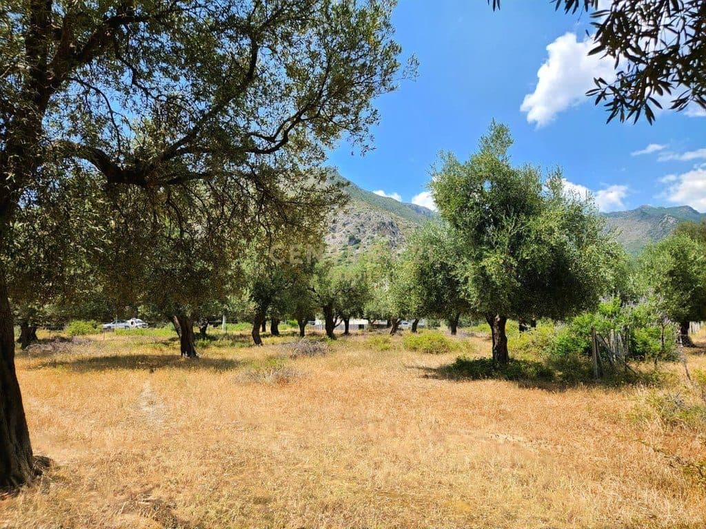 LAND FOR SALE IN BORSH 3