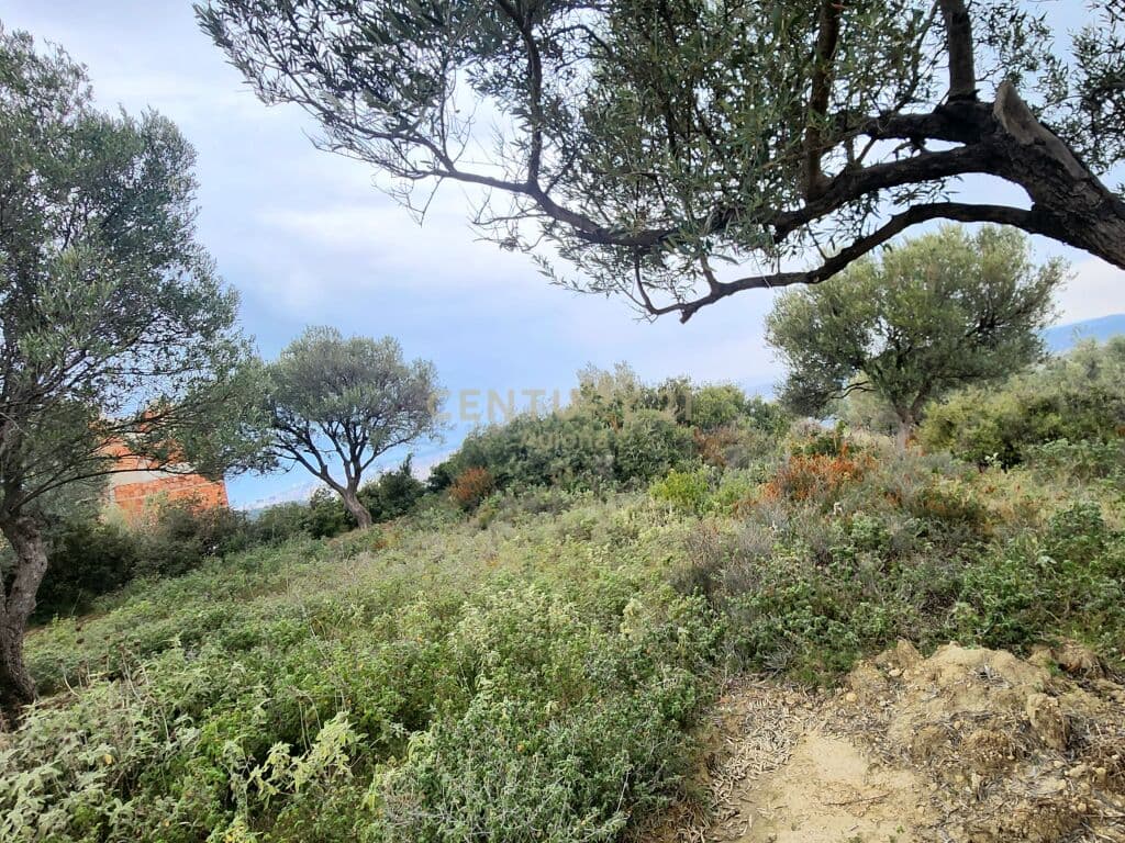 LAND FOR SALE IN KANI WITH SEA VIEW 2
