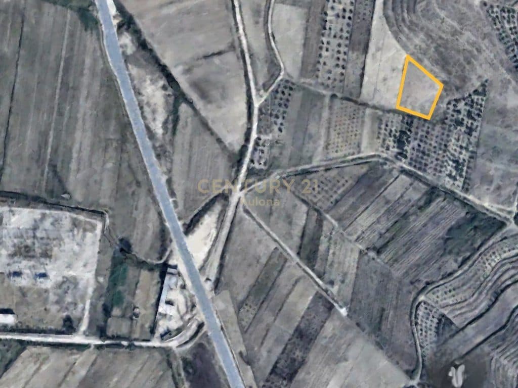 Olive Grove Land for Sale near the Bypass, Vlorë 3