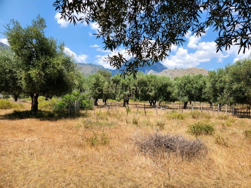 LAND FOR SALE IN BORSH 4