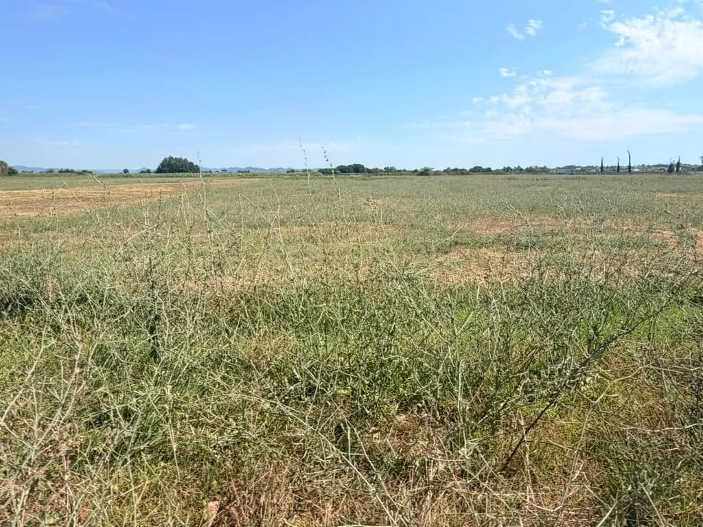 Tokë në shitje në Rruga Shkozet, Durrës – 520m², 80,000€ 3