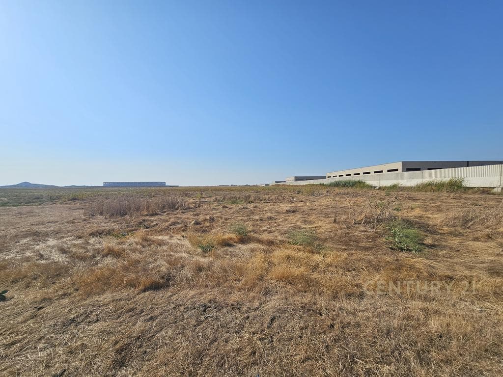 Shesim Toke prane Portit te Ri, Durres